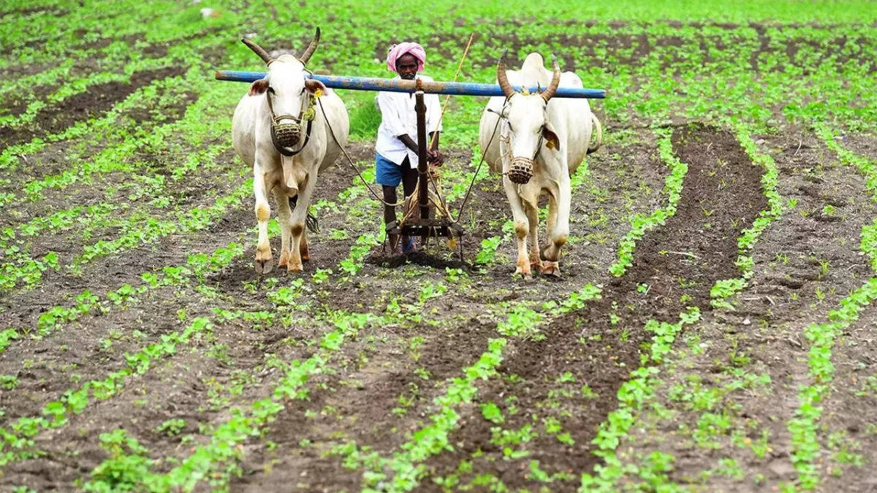 Maharashtra Farmers