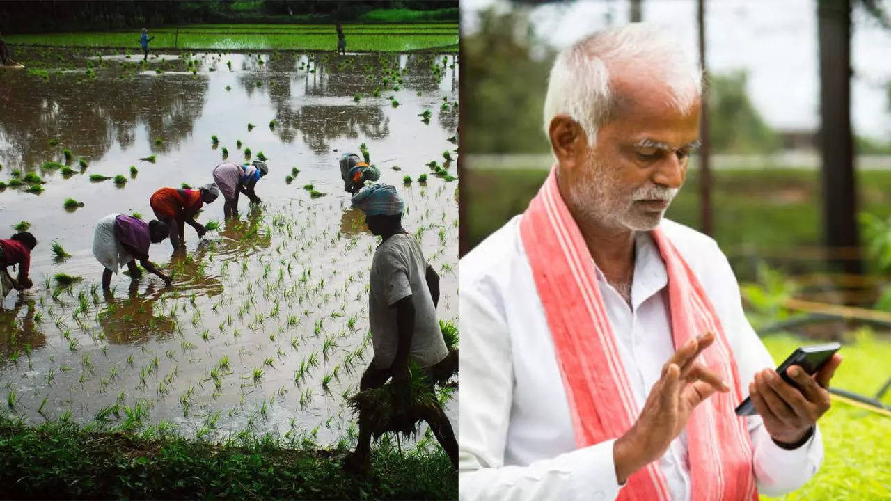 Resilient Agricultural Systems