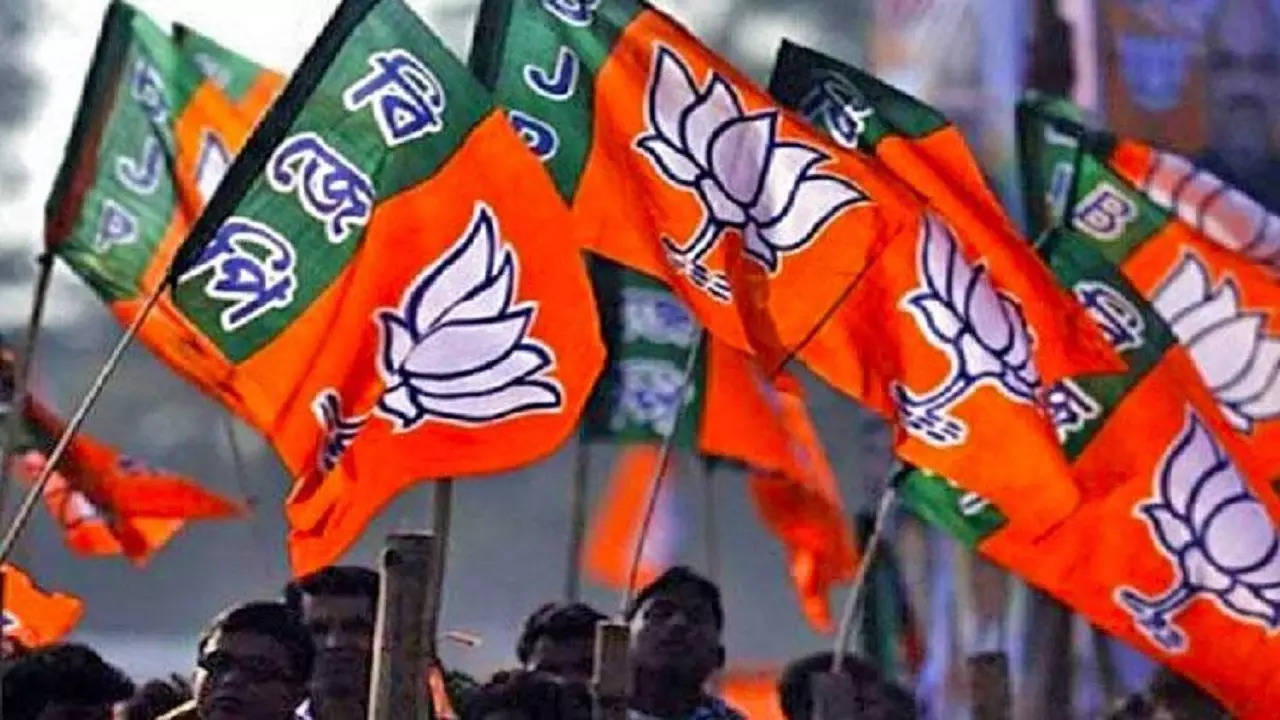 bjp flag