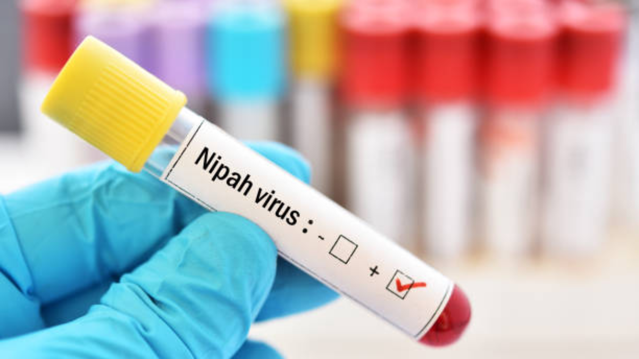 nipah virus in kerala