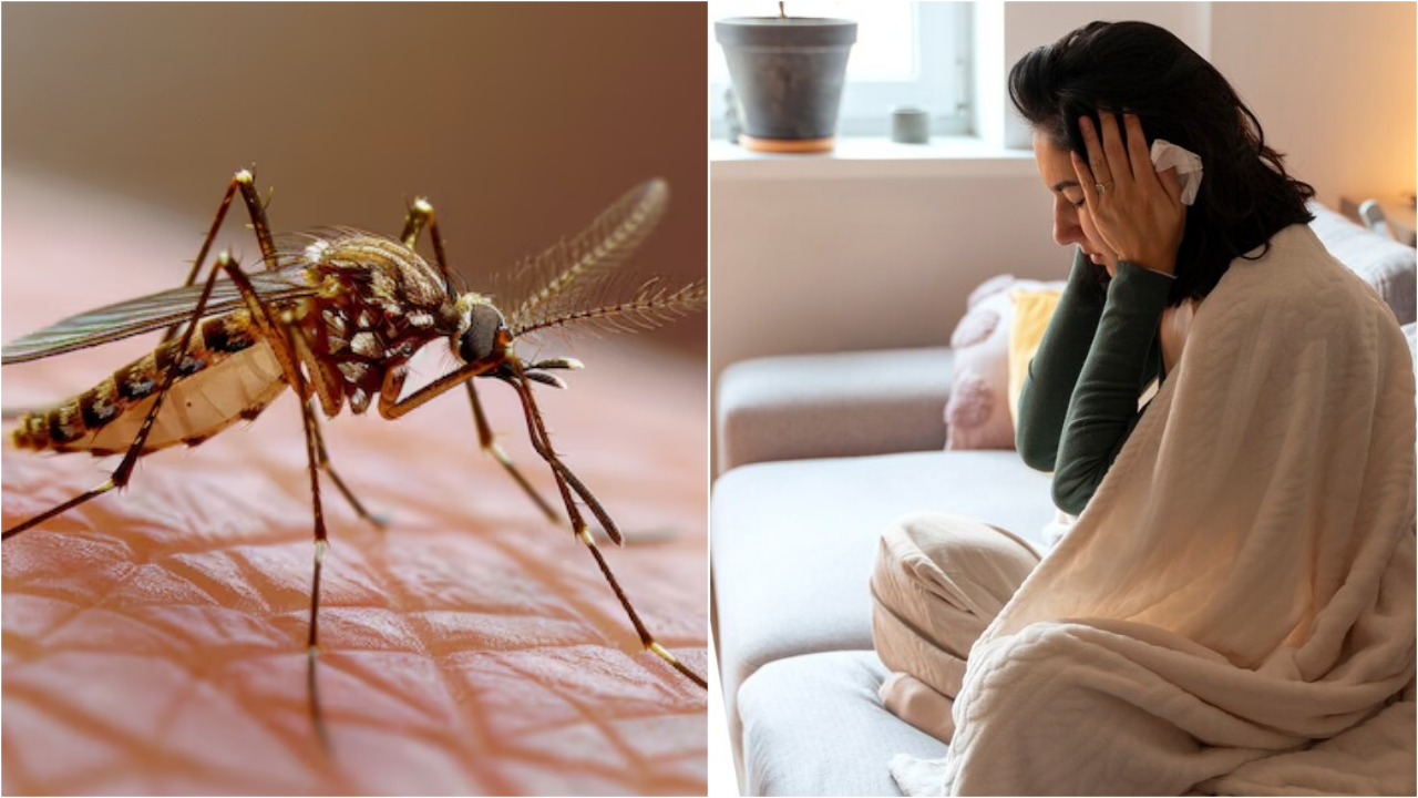 Symptoms Of Dengue Fever In Hindi