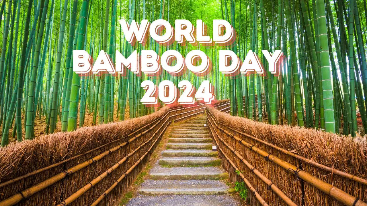 World Bamboo Day 2024