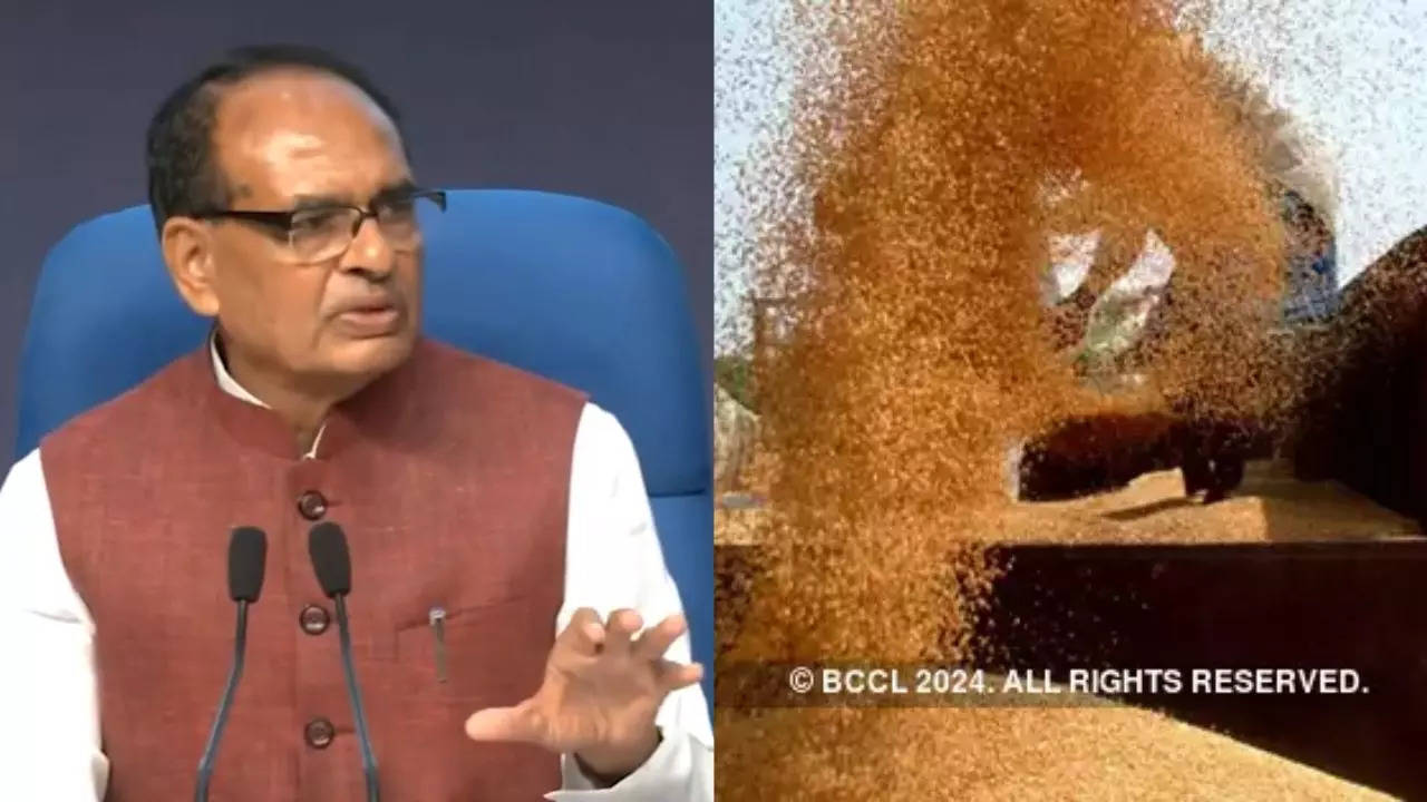 Shivraj Singh Chouhan, Committee Report on MSP