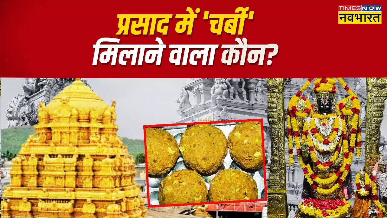 Tirupati Laddu Row.