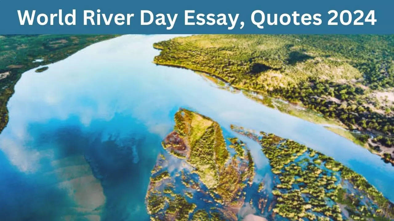 World River Day Essay, Quotes In Hindi 2024 (1)