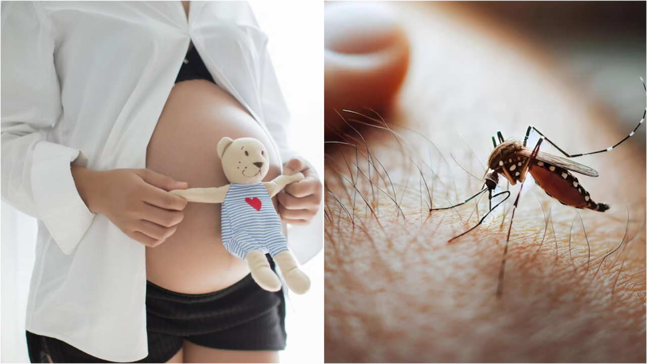 Dengue Risk In Pregnancy