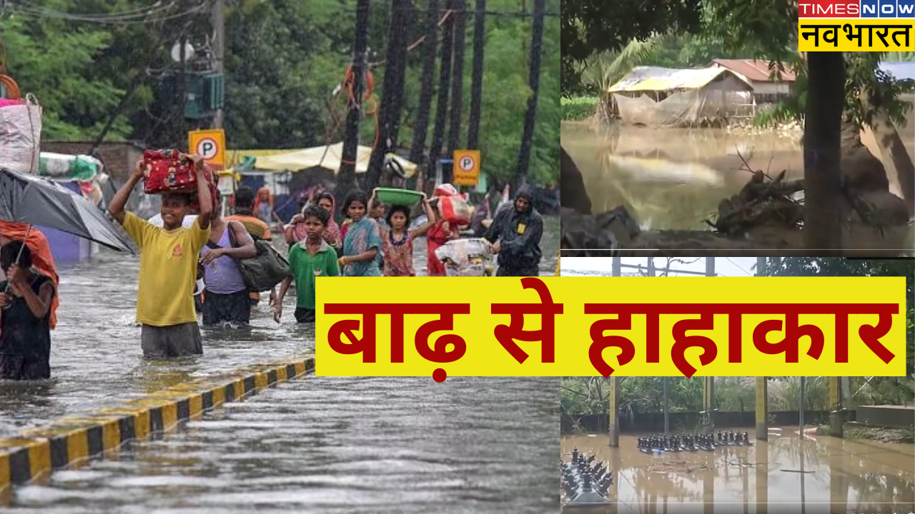 Flood in bihar