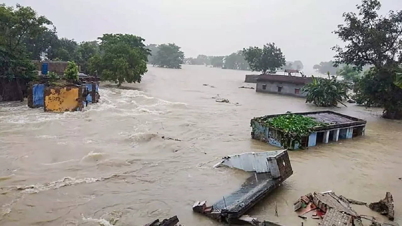 bihar flood e