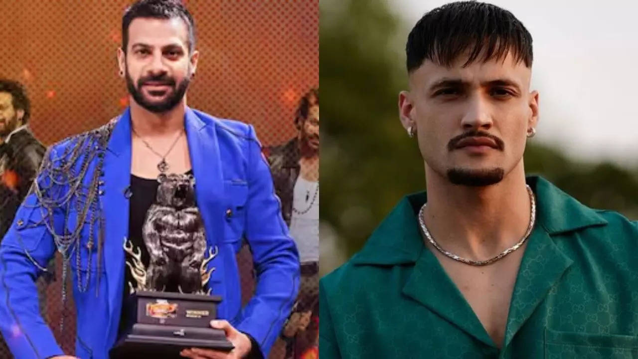 Asim Riaz on Karan Veer Mehra Statement