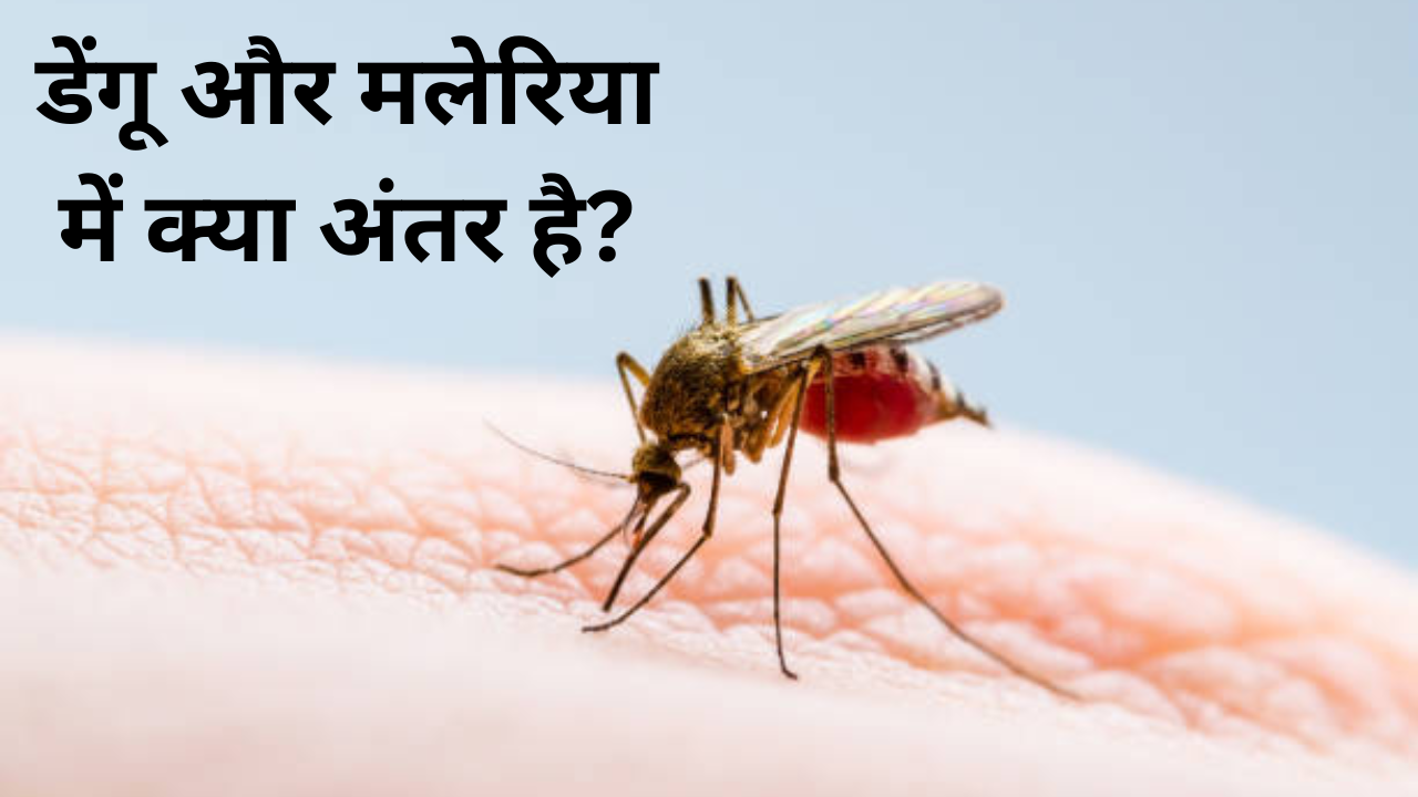 Difference Between Symptoms of Malaria and Dengue