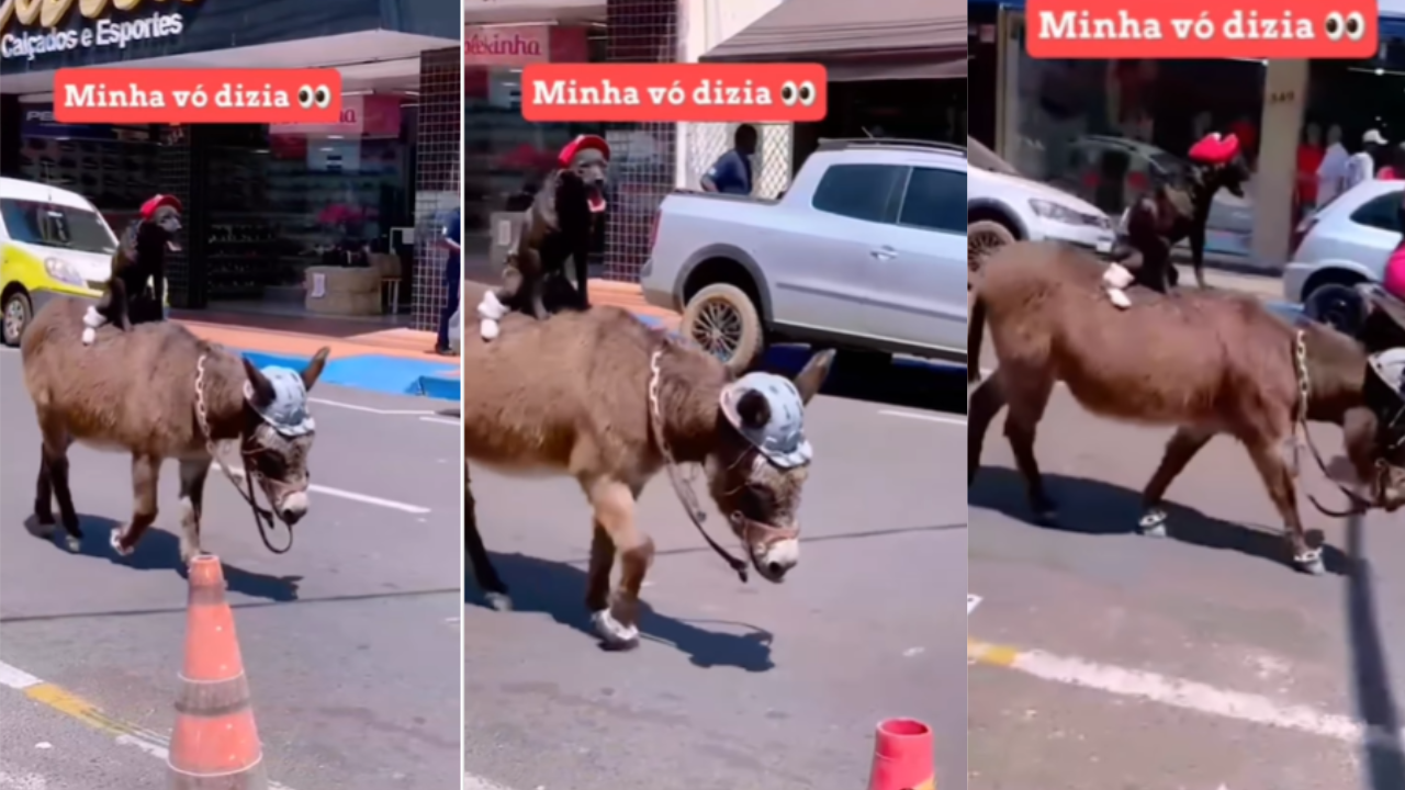 Dog Donkey Viral Video