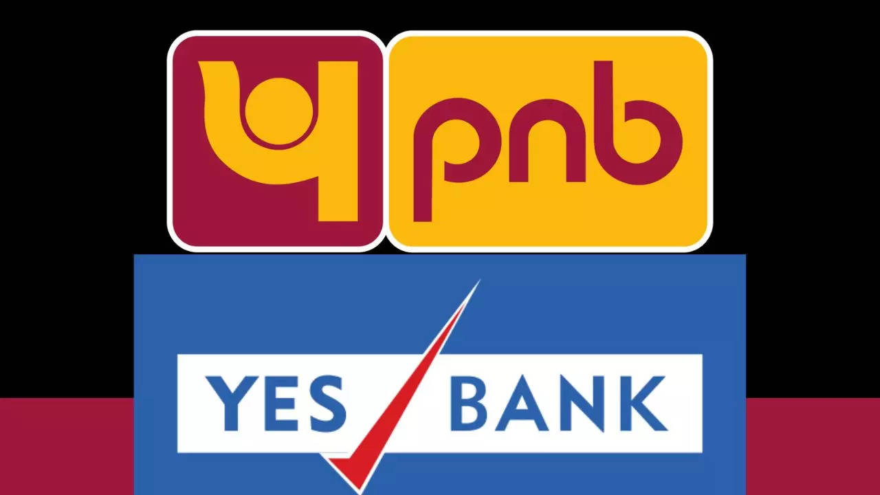 Loan Distribution of PNB-Yes Bank Rise