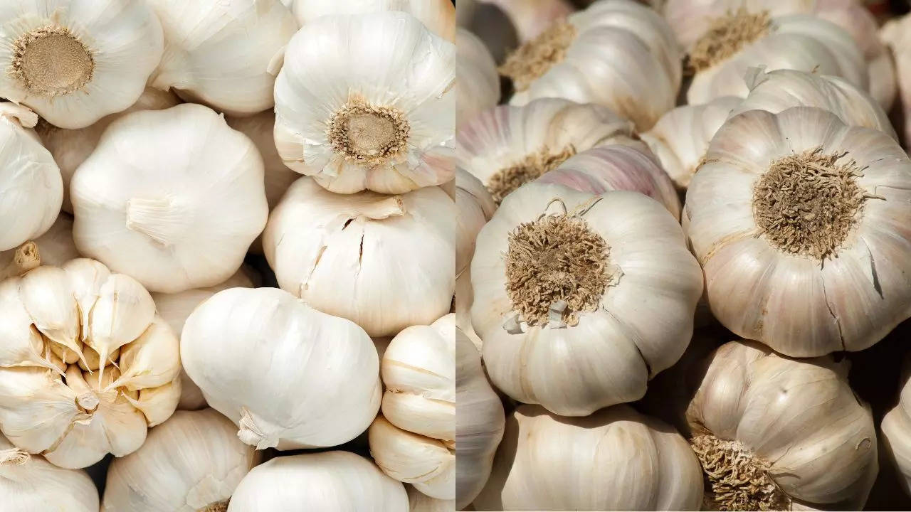 garlic prices increase