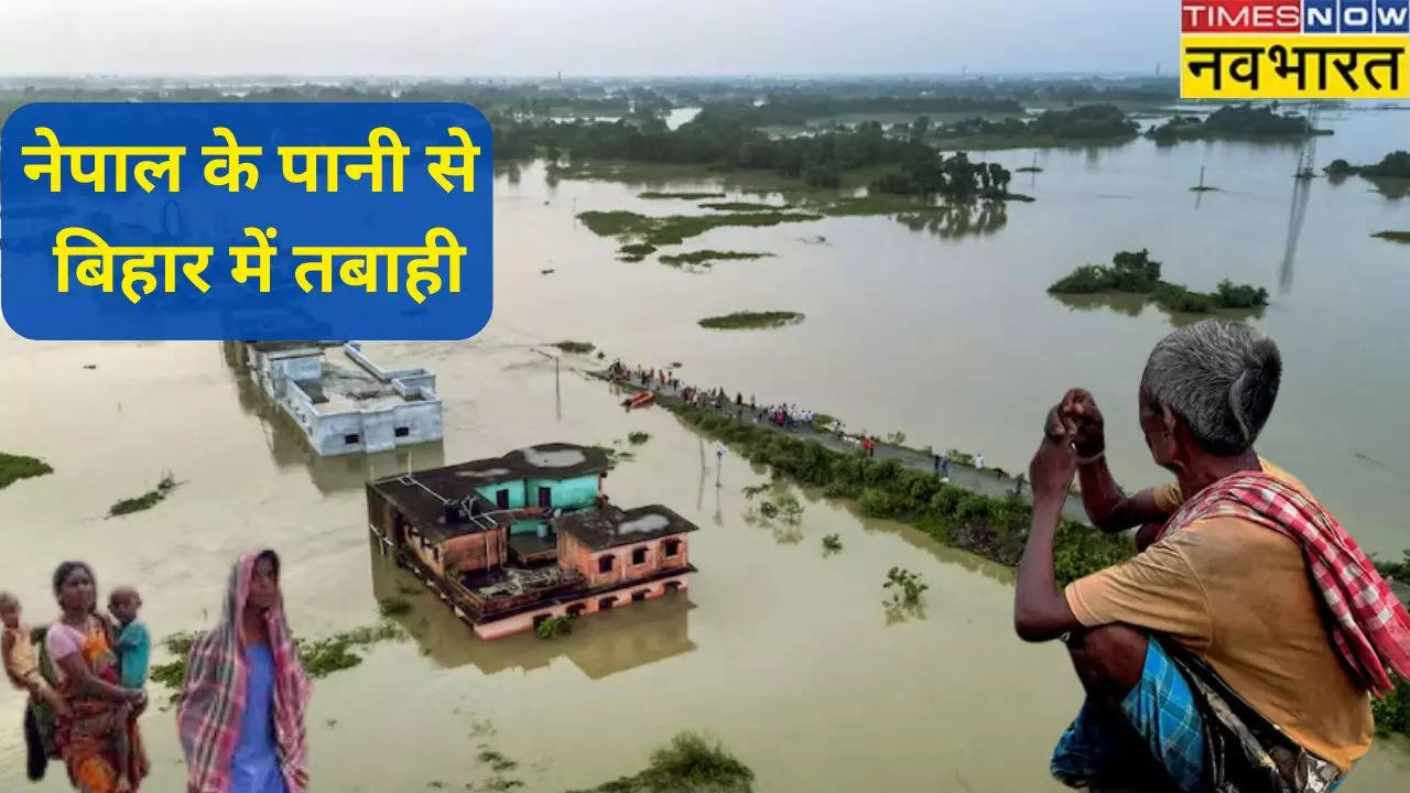 bihar flood (2)