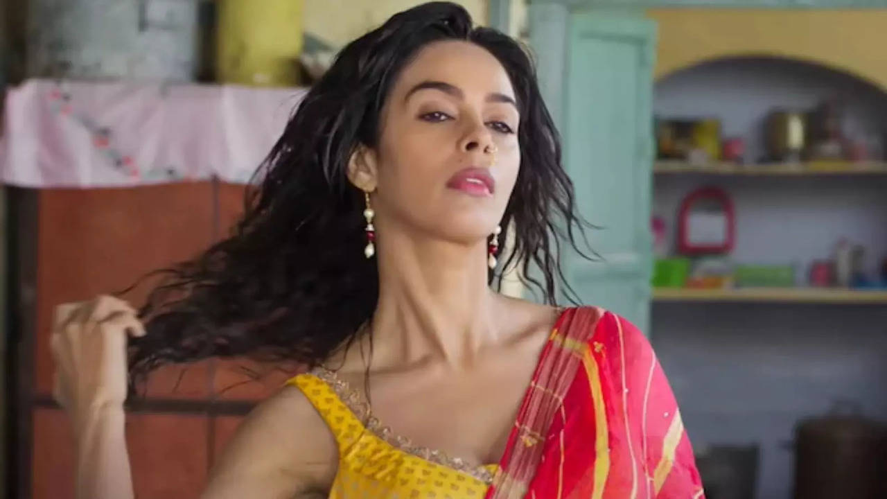 Vicky Vidya Ka Woh Wala Video: Mallika Sherawat Reveals she felt discriminated