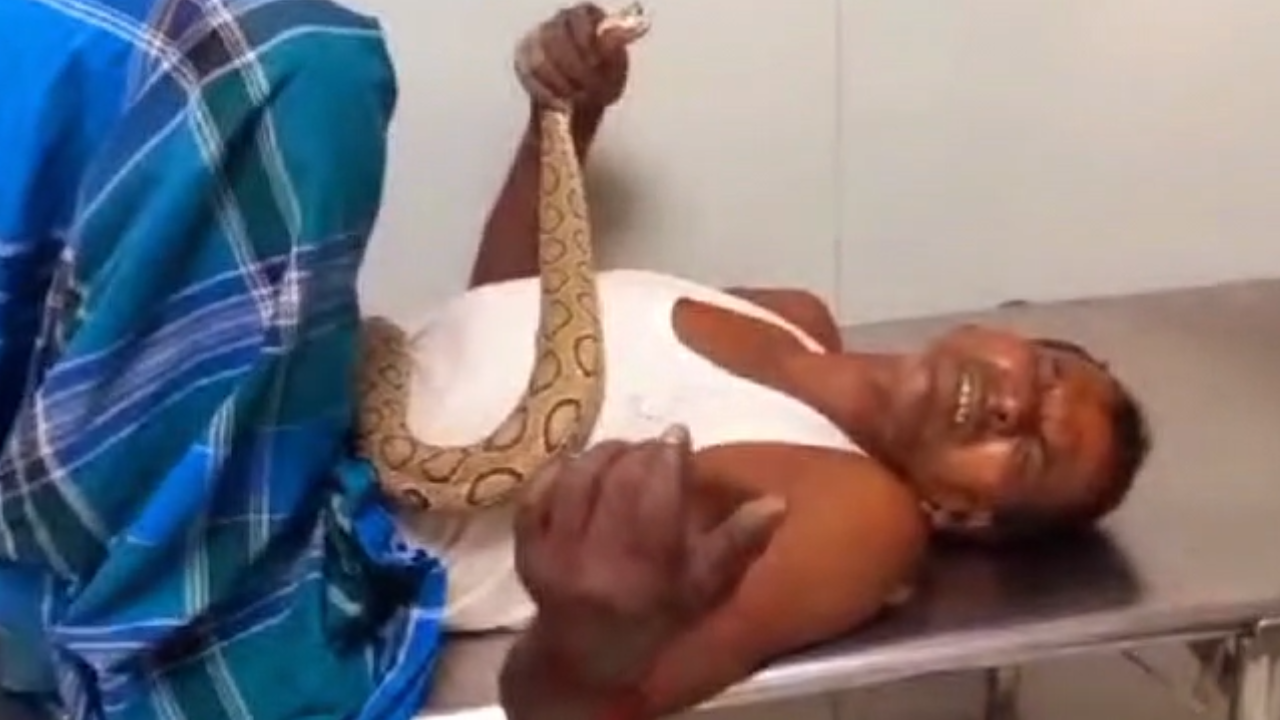 Man Takes Russell Viper Snake On Hospital