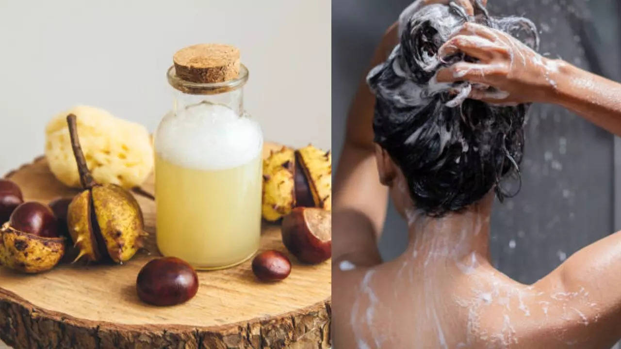 Homemade Shampoo For Hair care