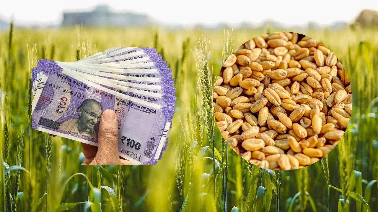 Rabi Crop MSP, MSP, Minimum Support Price, Rabi Crop MSP