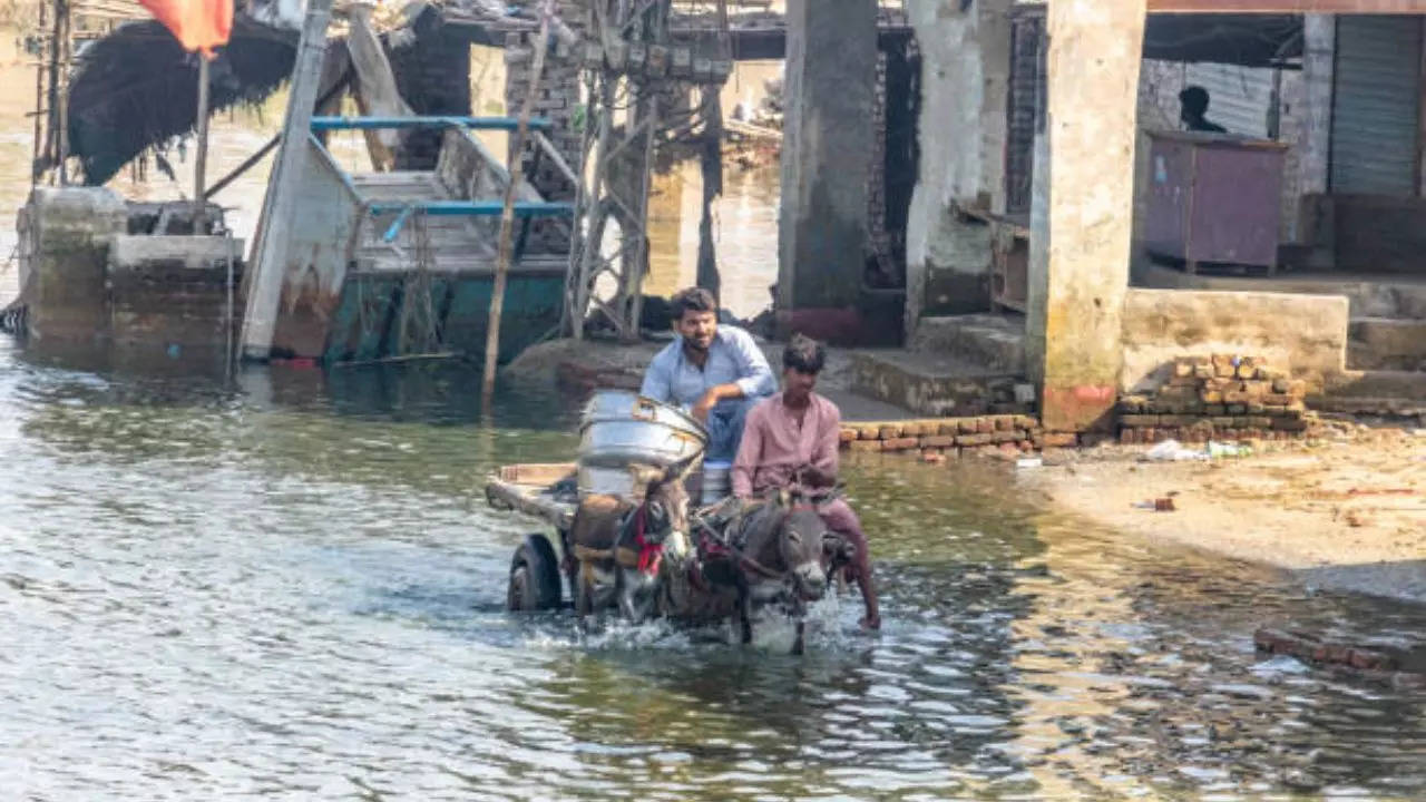 andhra pradesh rain