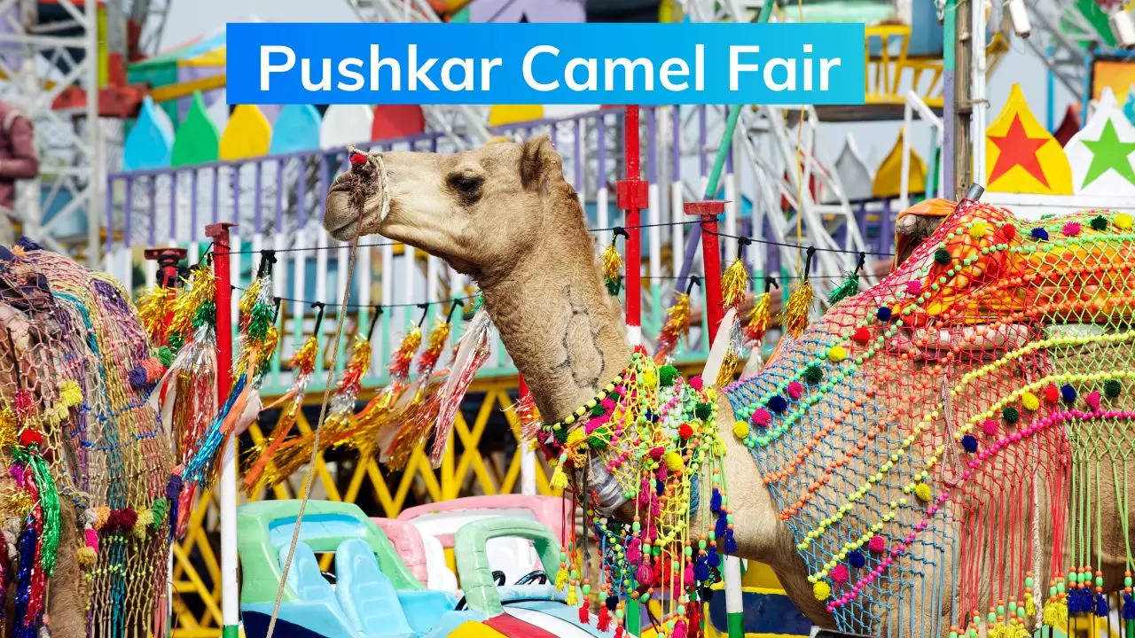 Pushkar Camel Fair