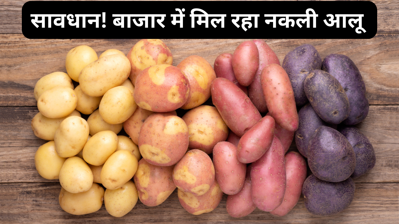 fake potato in market