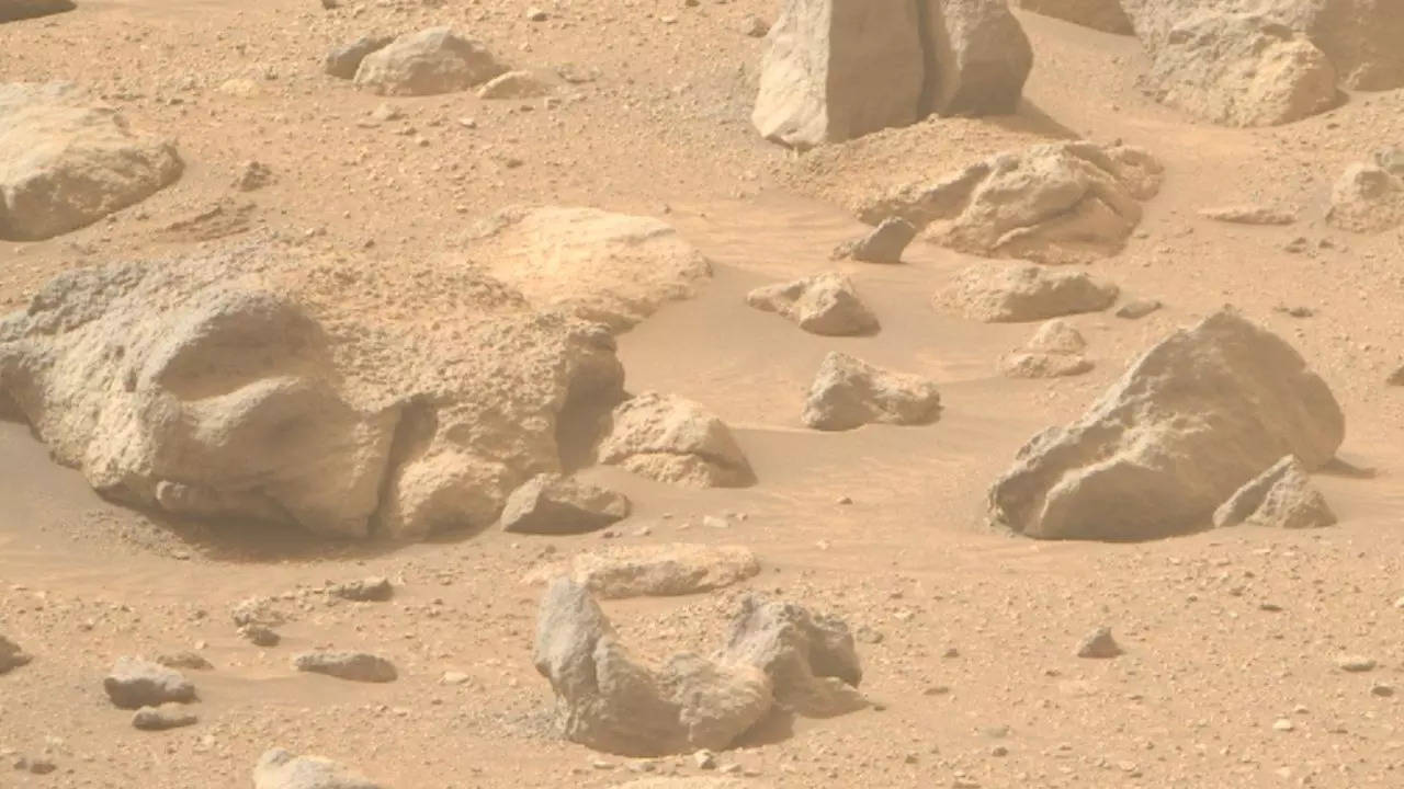 Mars Human Face