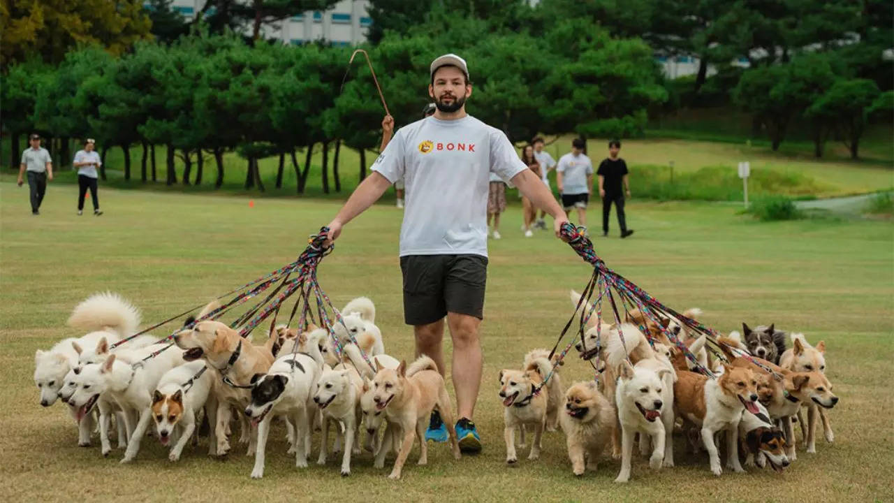 walk with 38 dogs at once