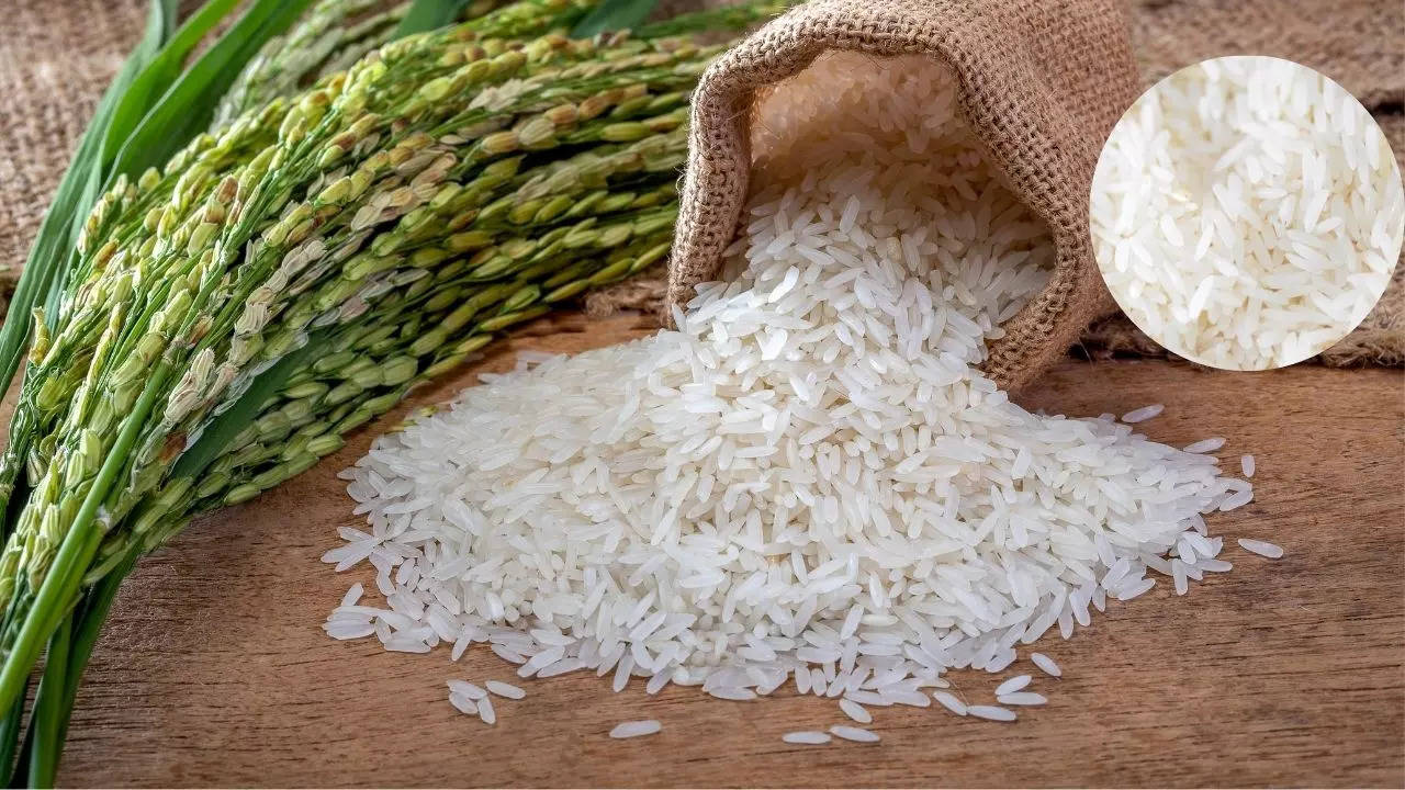 Non-Basmati White Rice Minimum Export Price