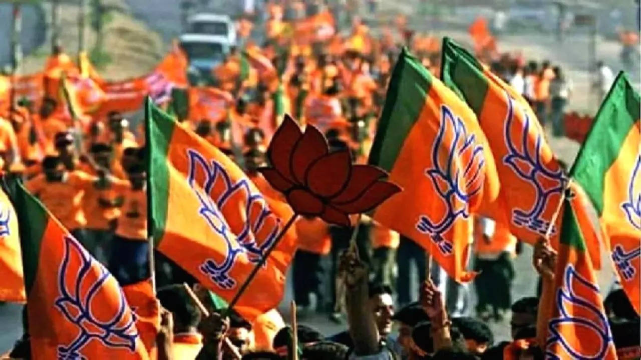 bjp flag