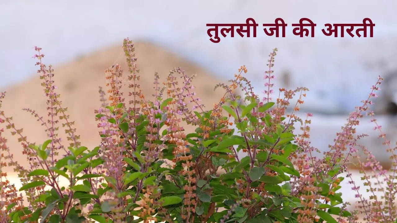 Tulsi Mata Ki Aarti