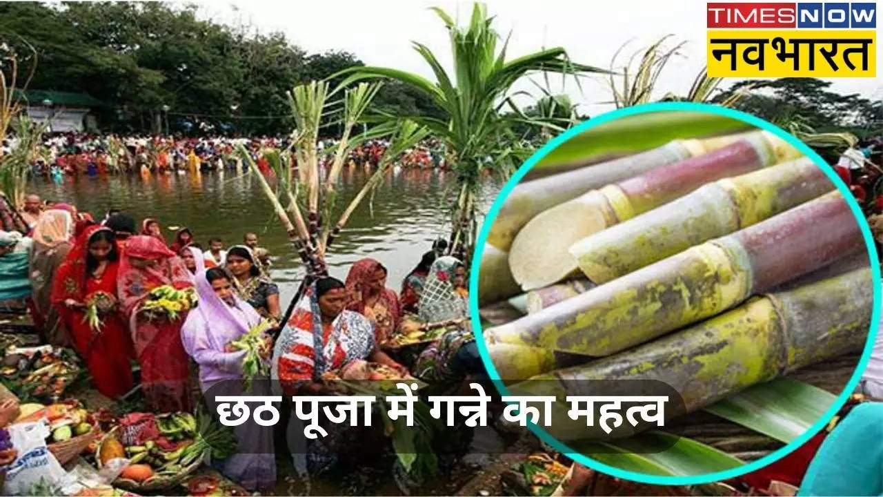 Importance of Sugarcane in Chatth Puja 2024