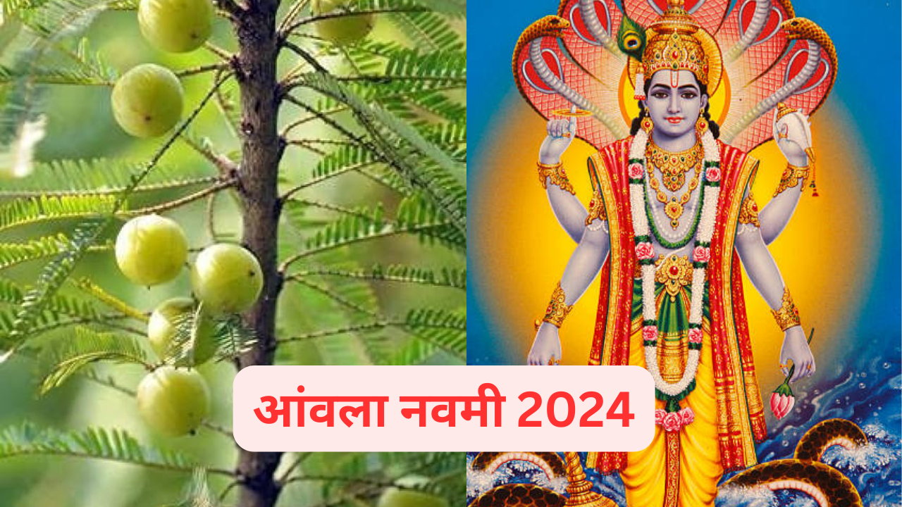 Amla Navami 2024