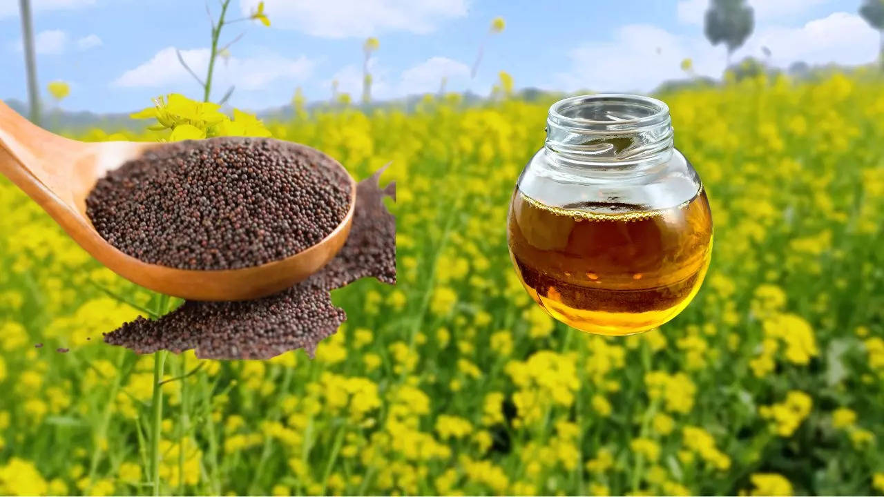 Edible Oil Price, mustard oil price