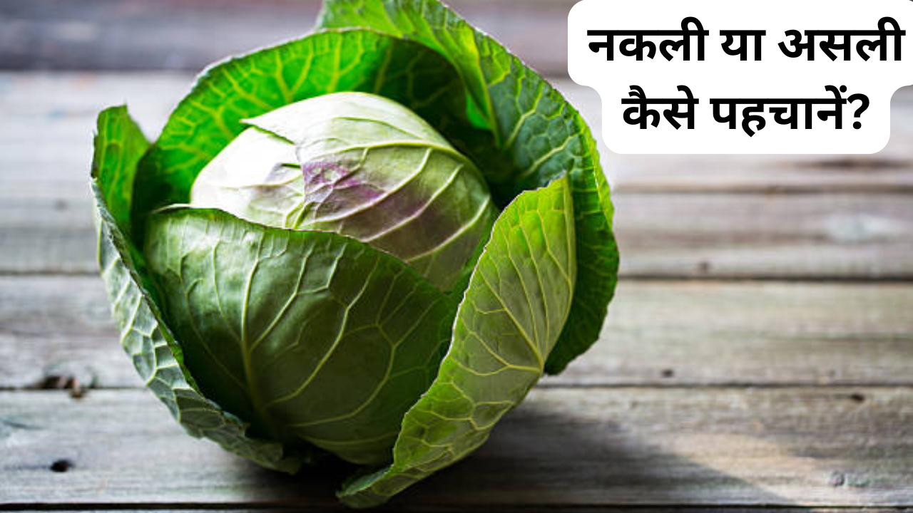 real or fake cabbage