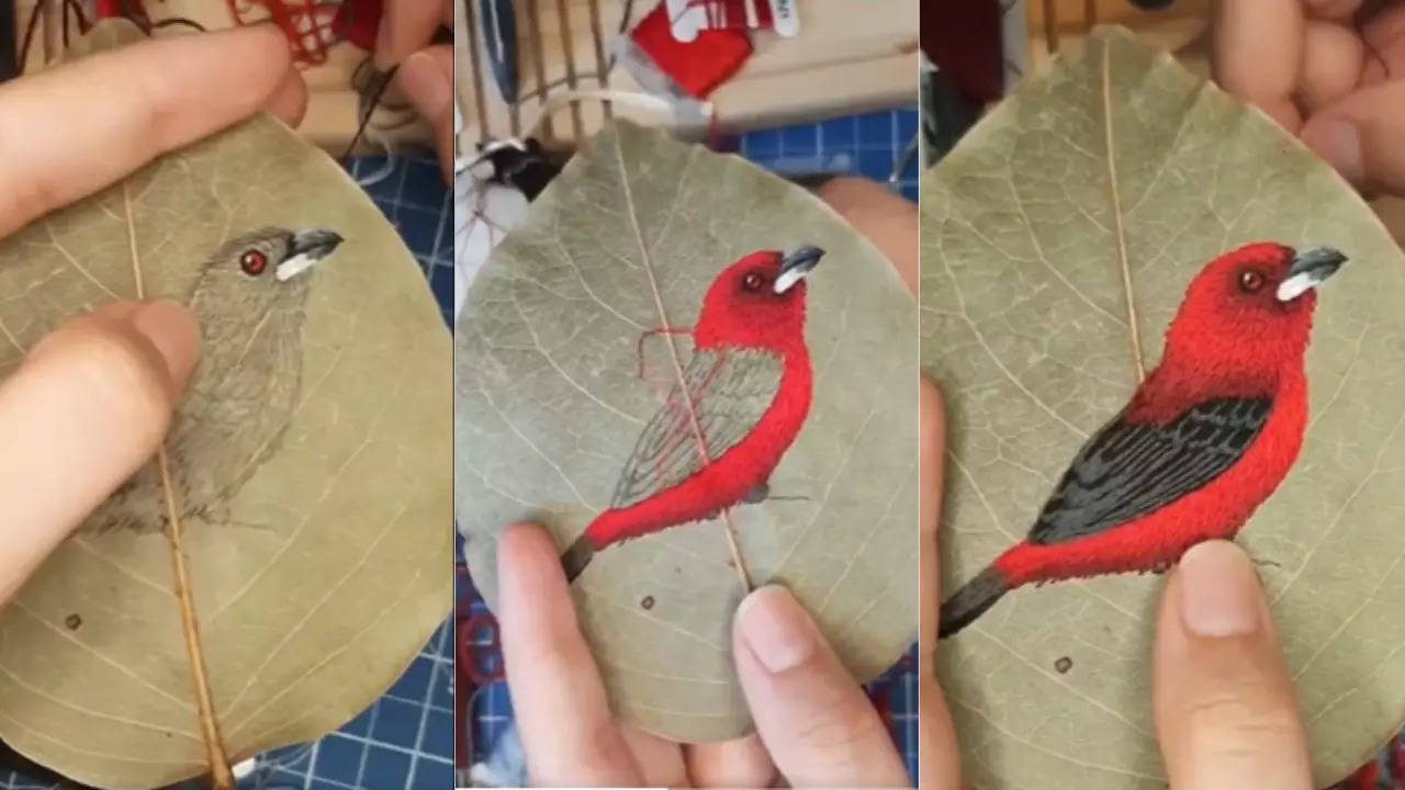 Leaves Art Viral Video