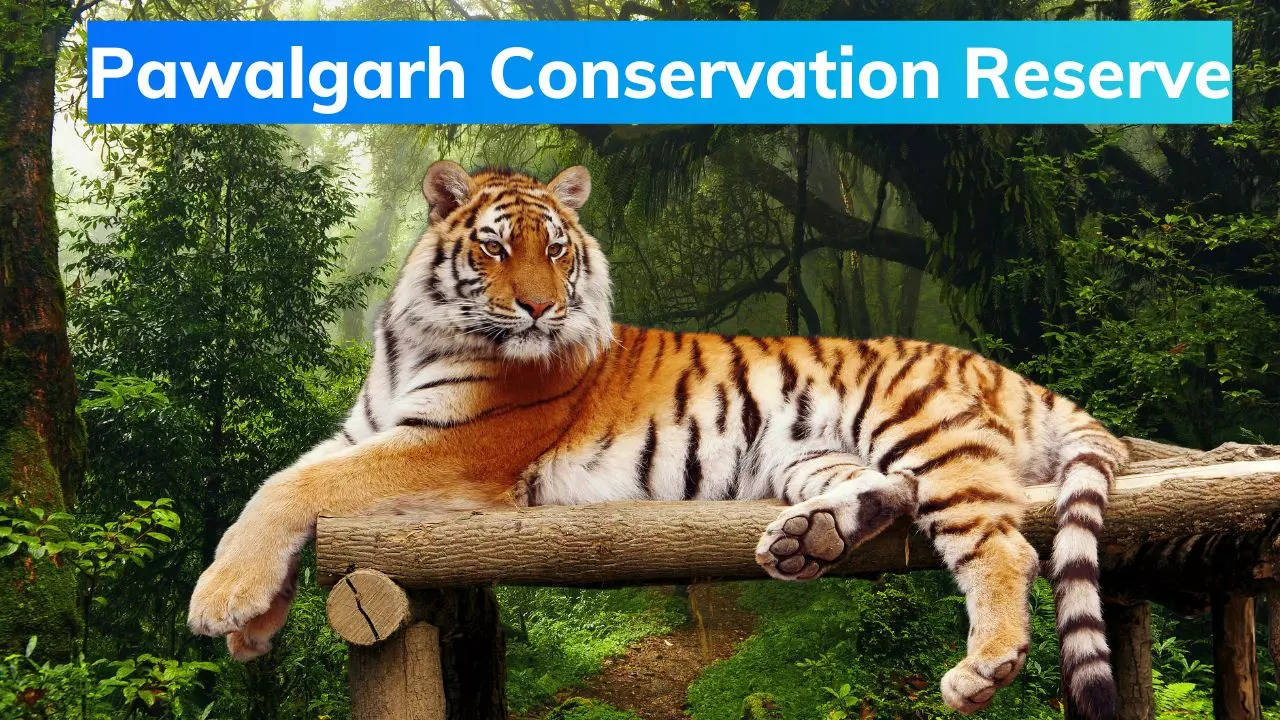 Pawalgarh Conservation Reserve