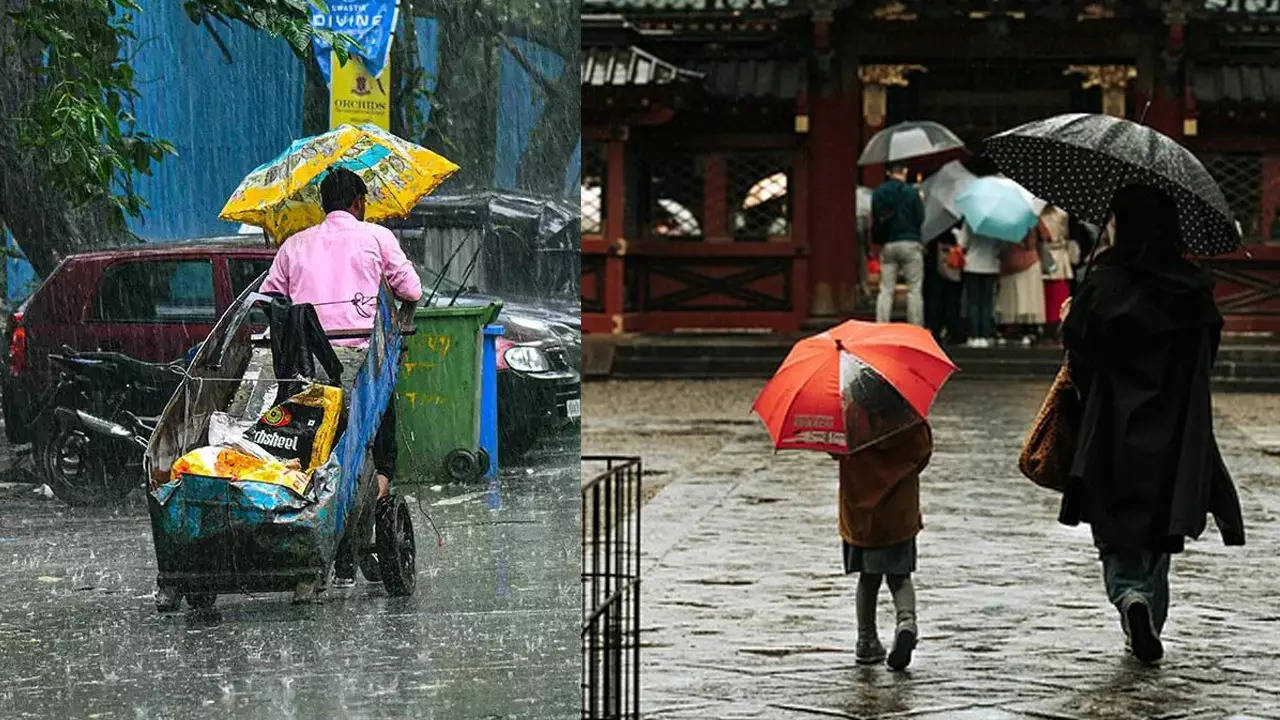 Chennai Rain School closed news