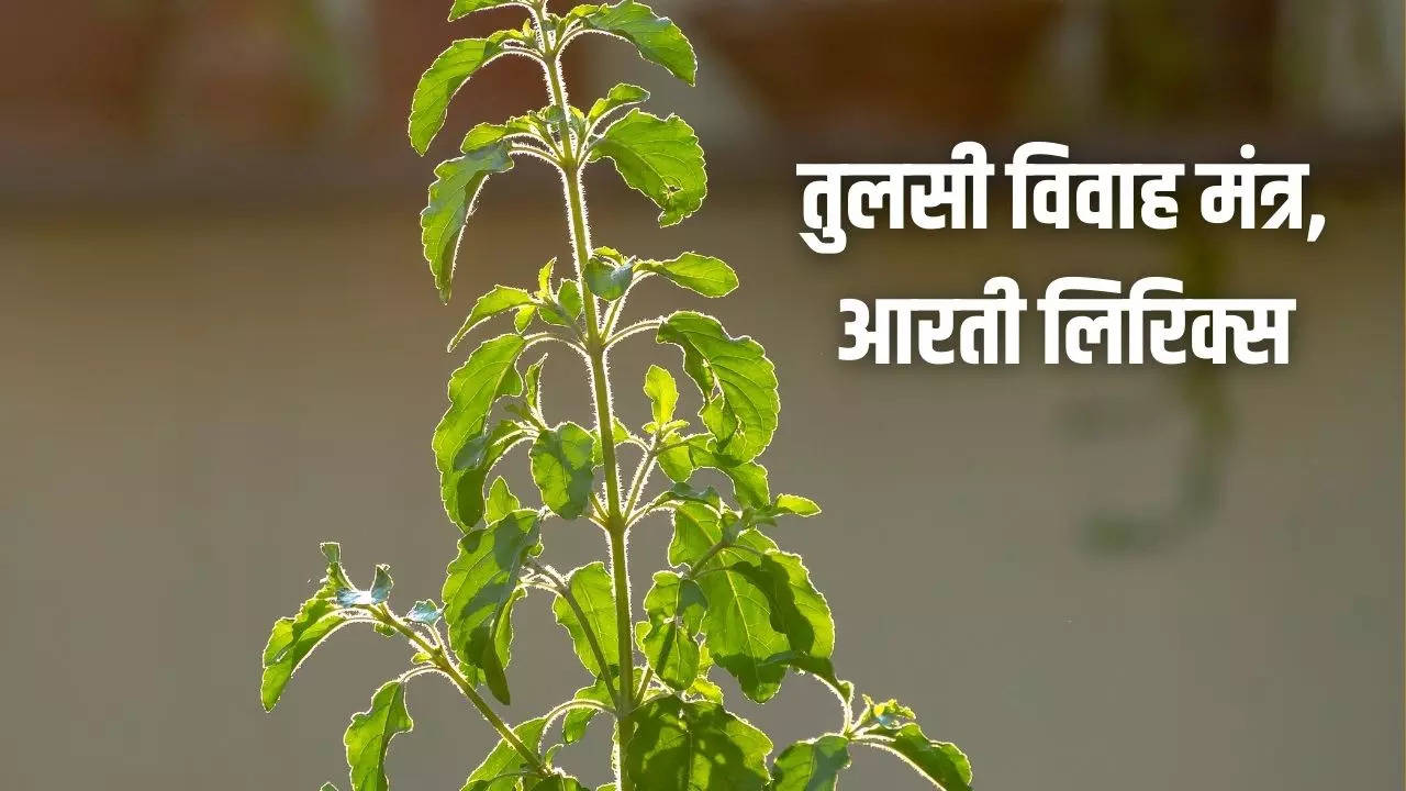 Tulsi Vivah Mantra