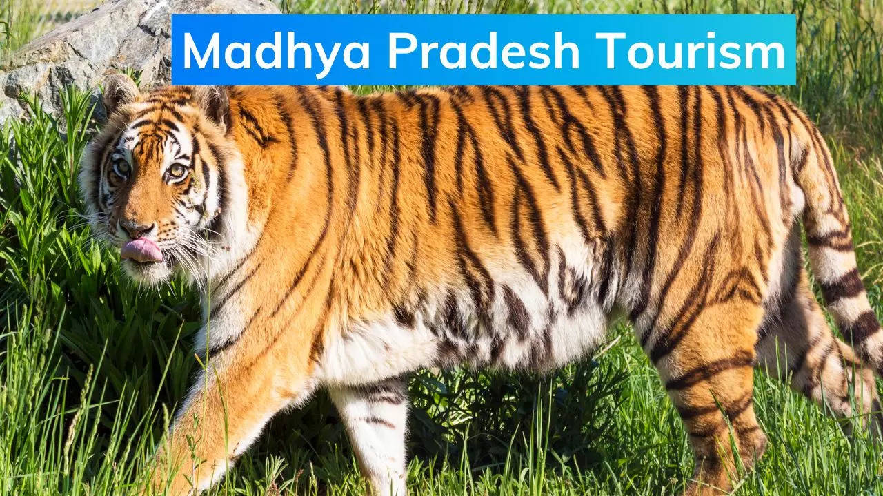 Madhya Pradesh Tourism