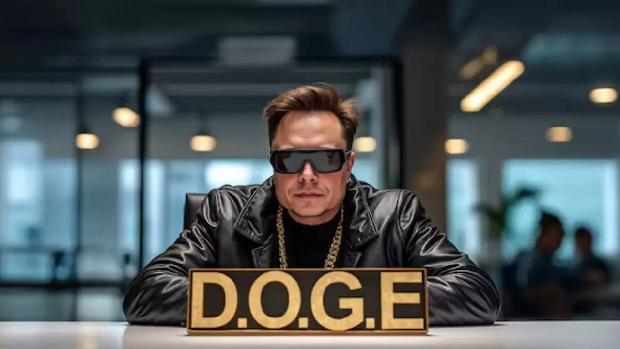 Elon Musk’s DOGE job