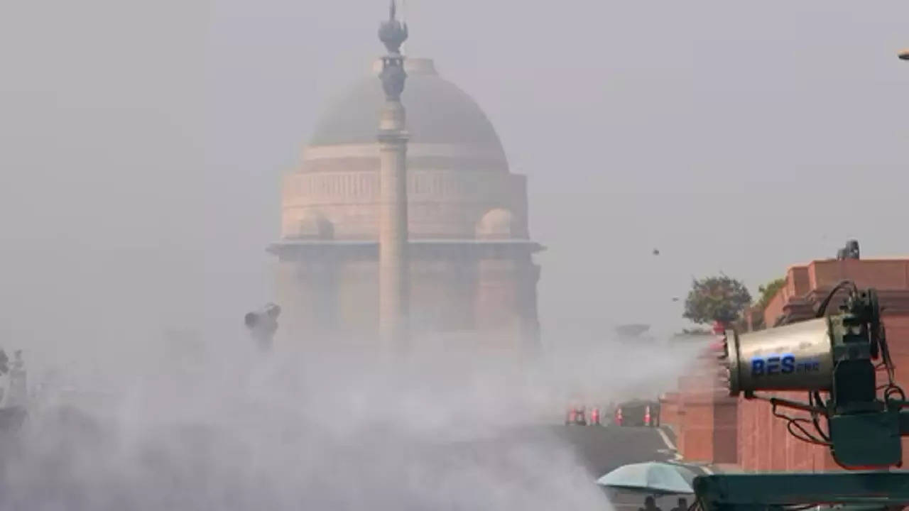 delhi pollution grape 4