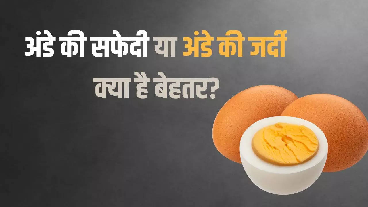 egg white vs egg yolk in hindi