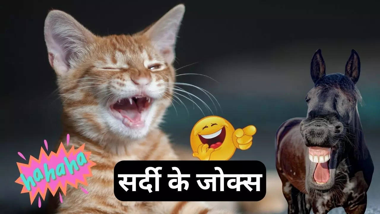 funny winter jokes in hindi