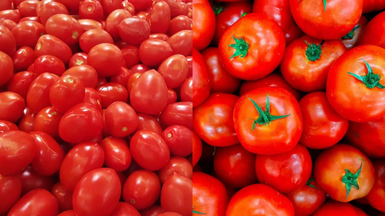 retail price of tomatoes, tomato prices