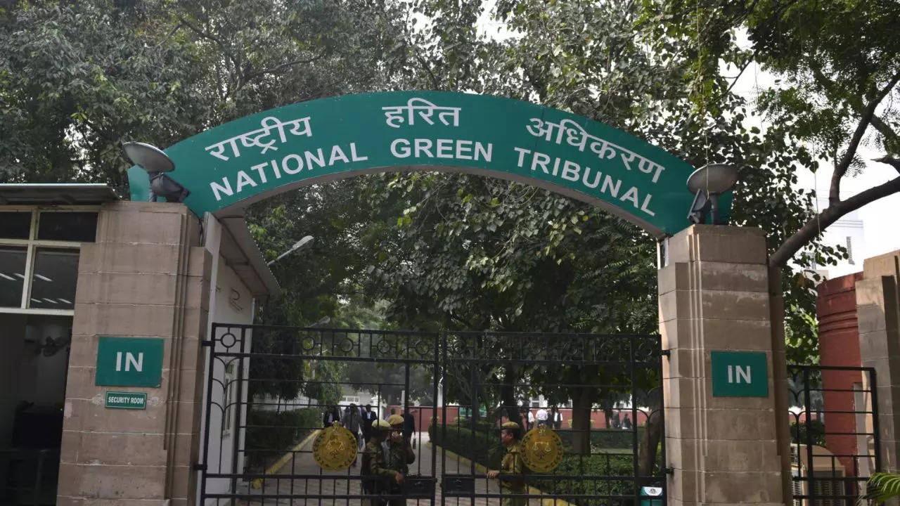 दिल्ली बनता जा रहा कचरे का डिब्बा! NGT ने MCD को नोटिस जारी किया