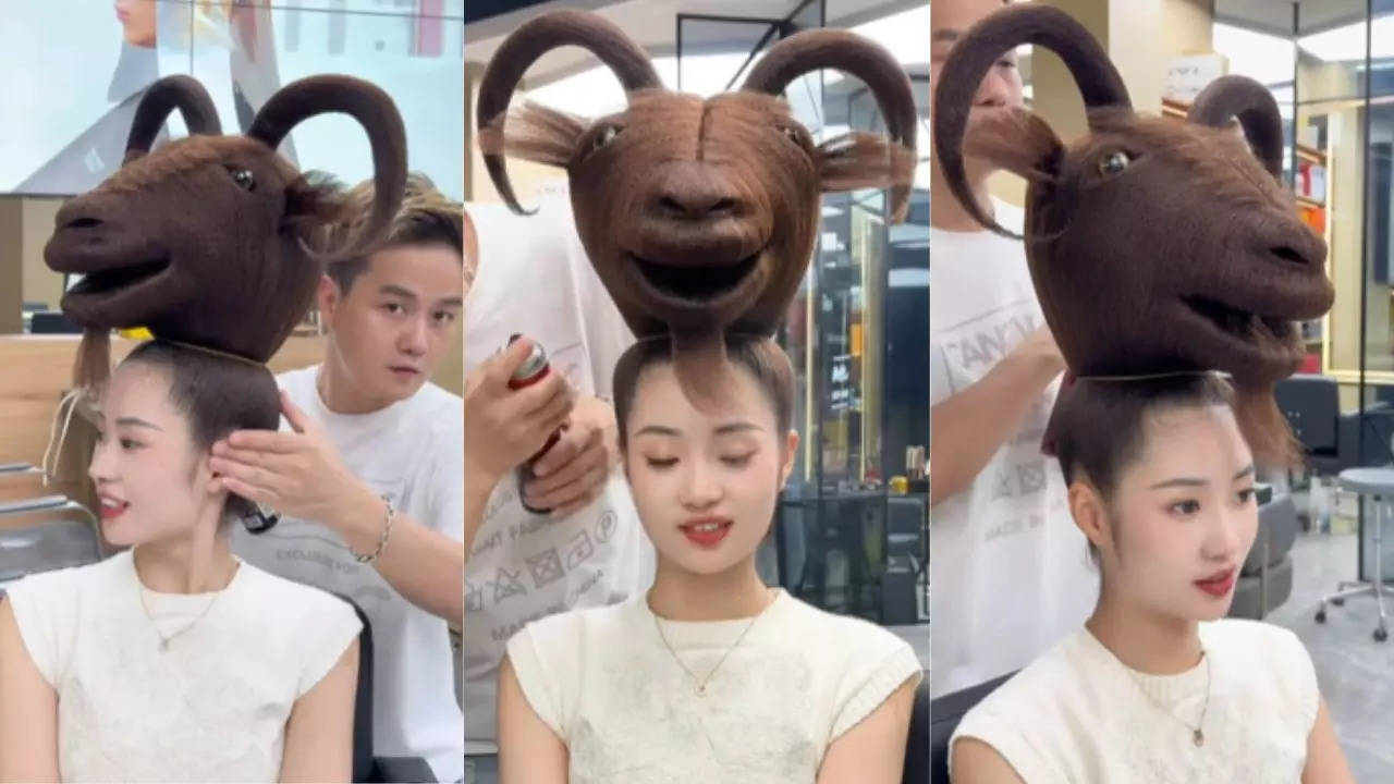 Sheep Shape Hairstyle 