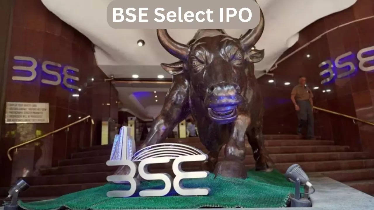 BSE Select IPO