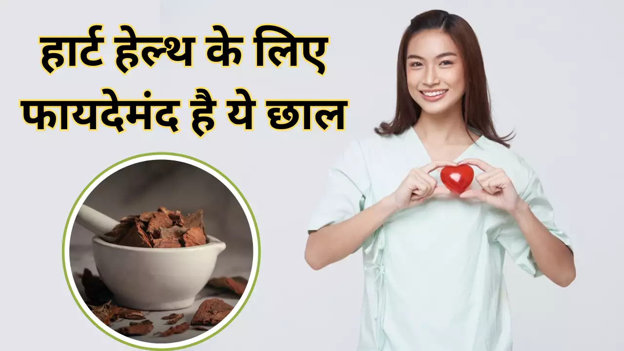 Arjun Ki Chaal Benefits For Heart In Hindi