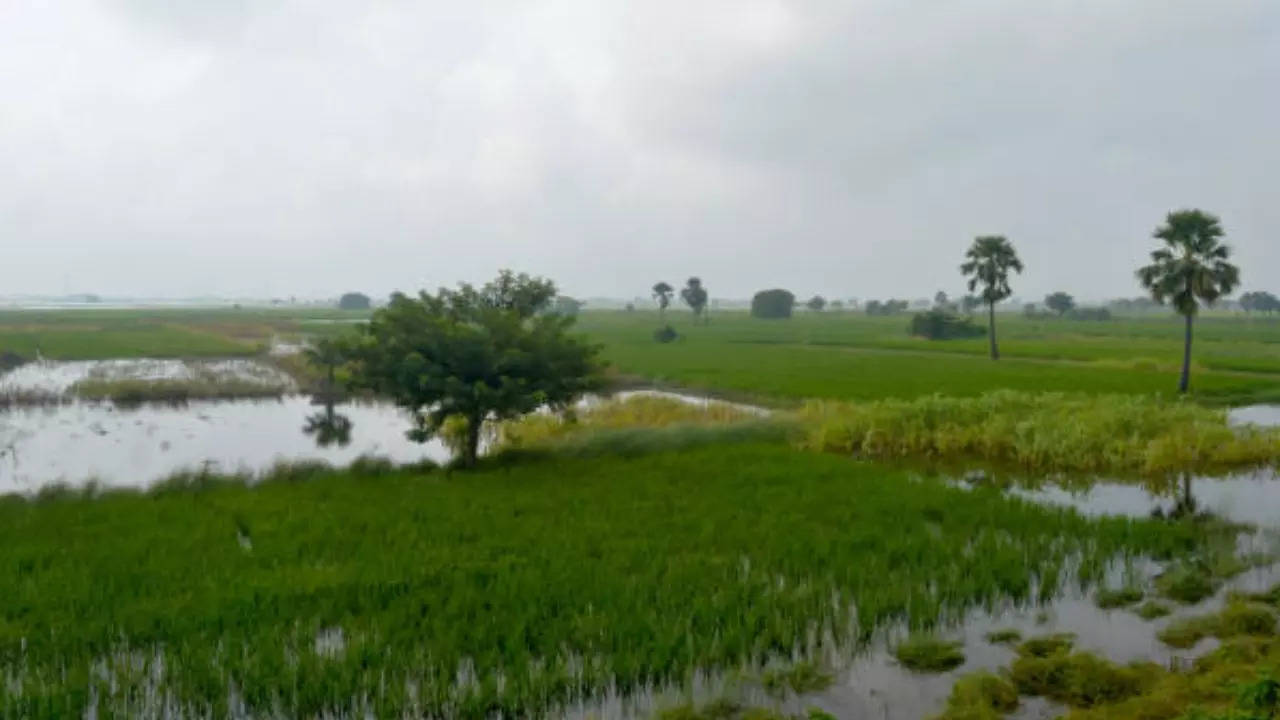 Tamilnadu Rain.