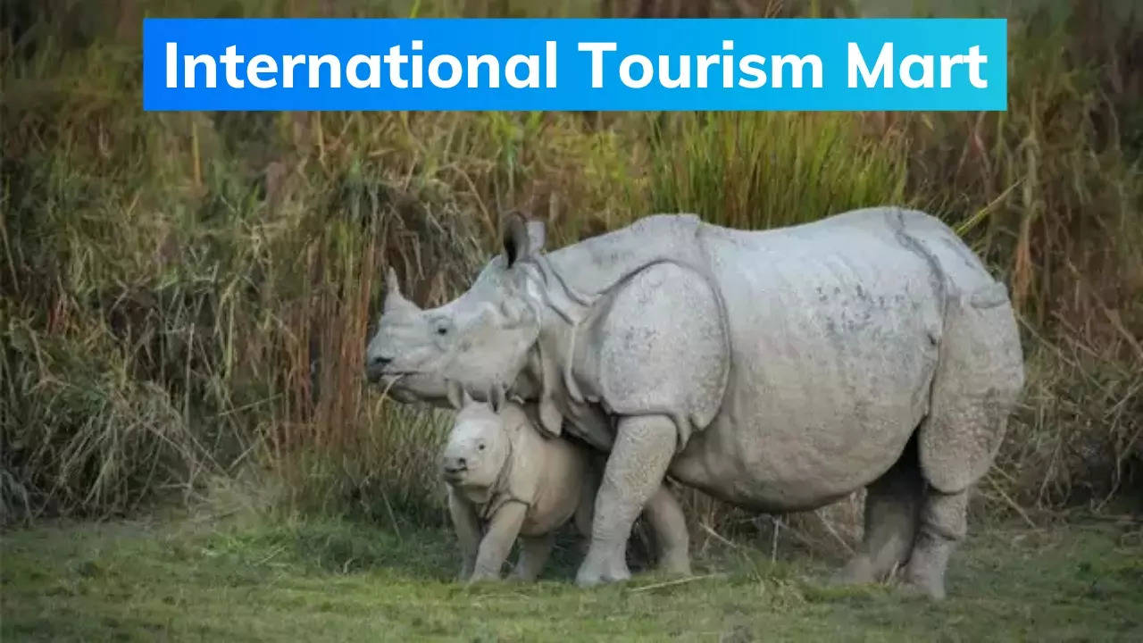 International Tourism Mart